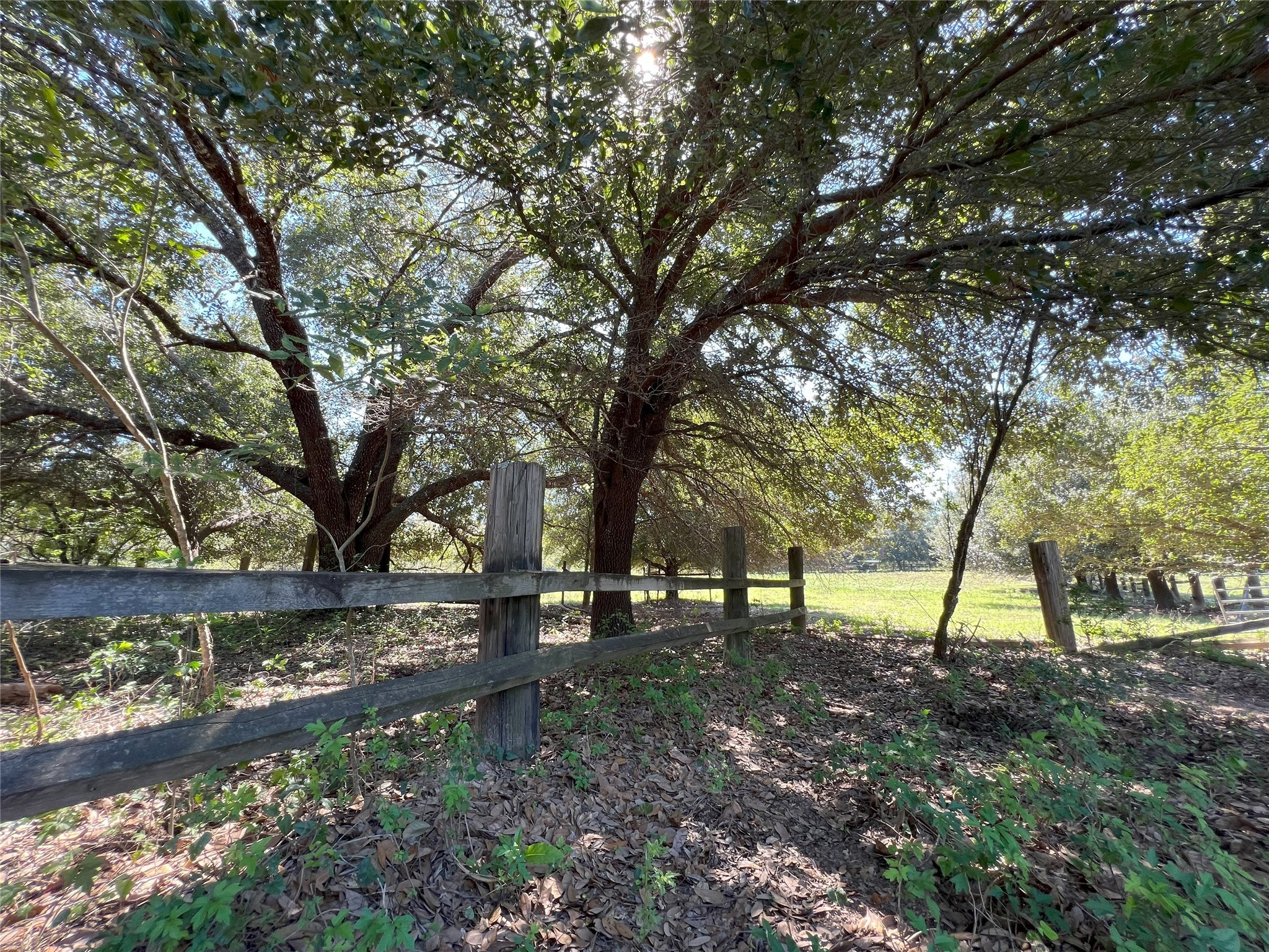0000 Tbd Jackson Rd Property Photo 7