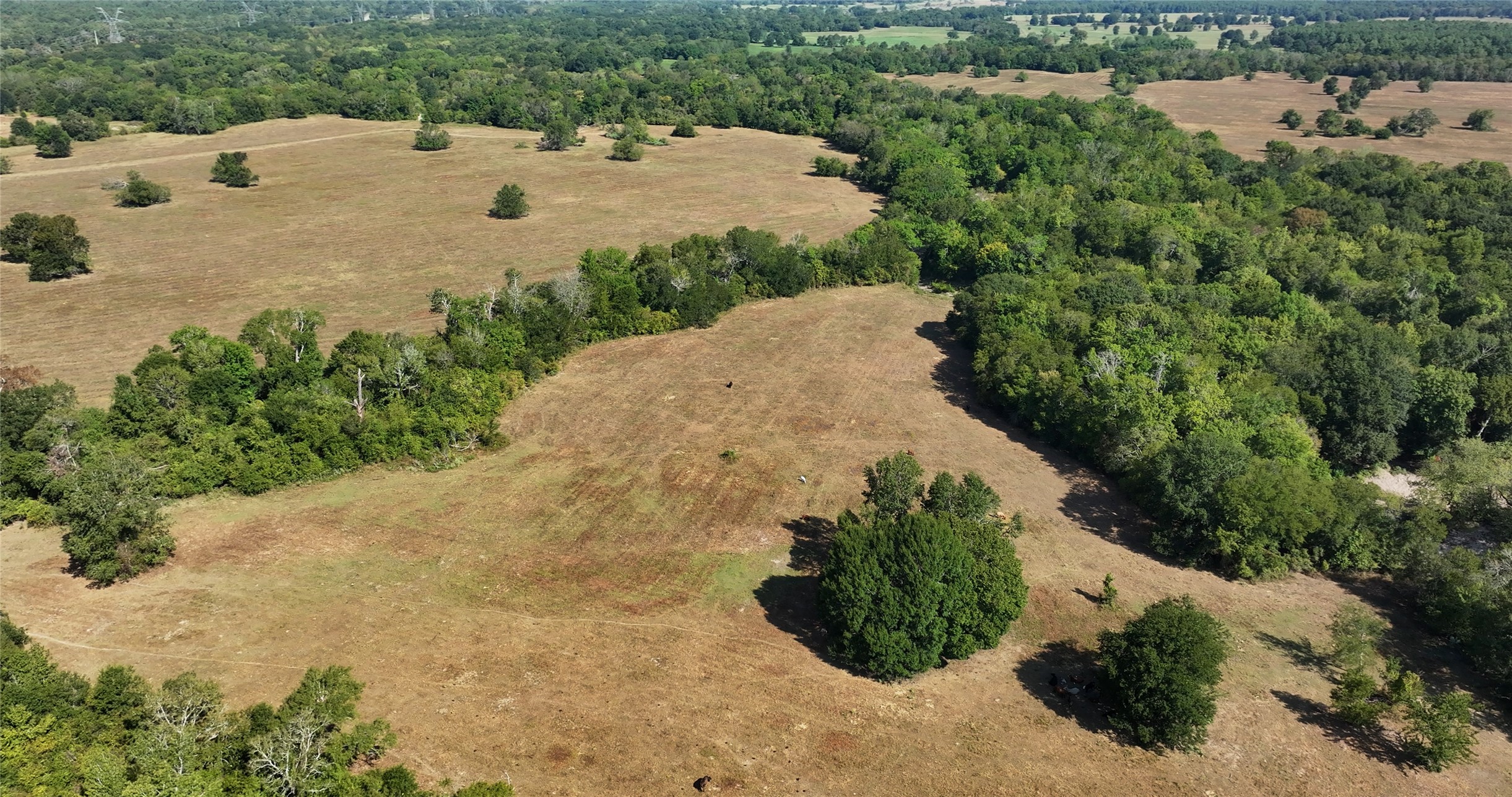 0000 Tbd Jackson Rd Property Photo 17