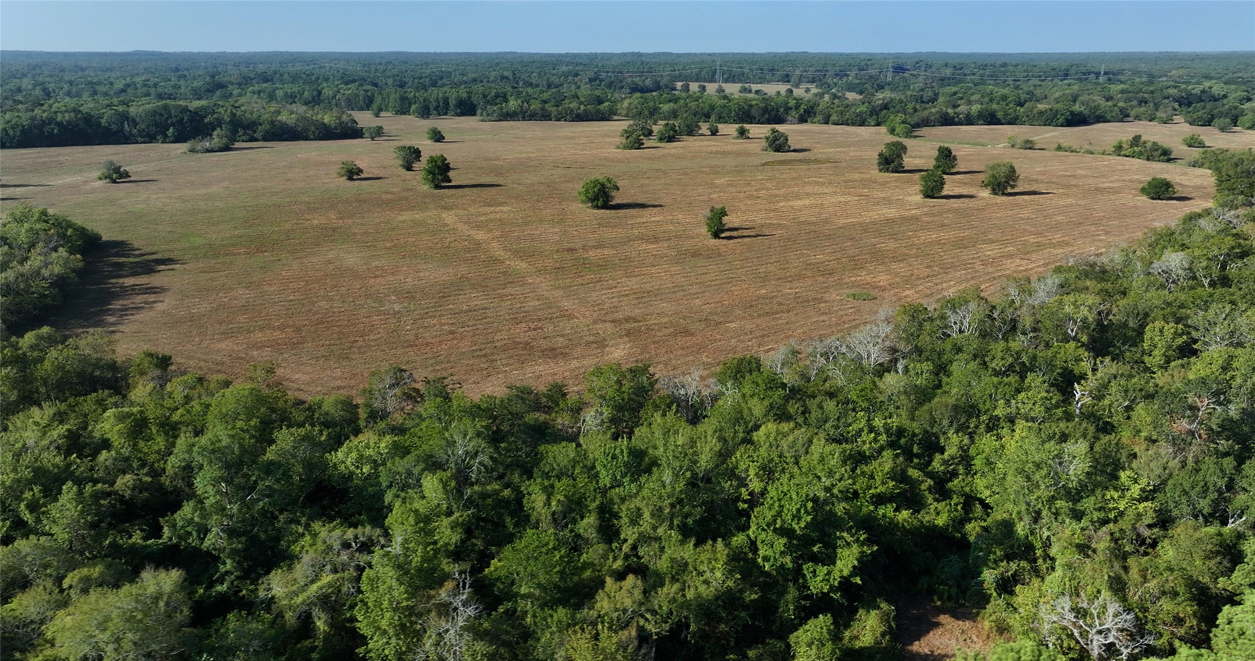0000 Tbd Jackson Rd Property Photo 18