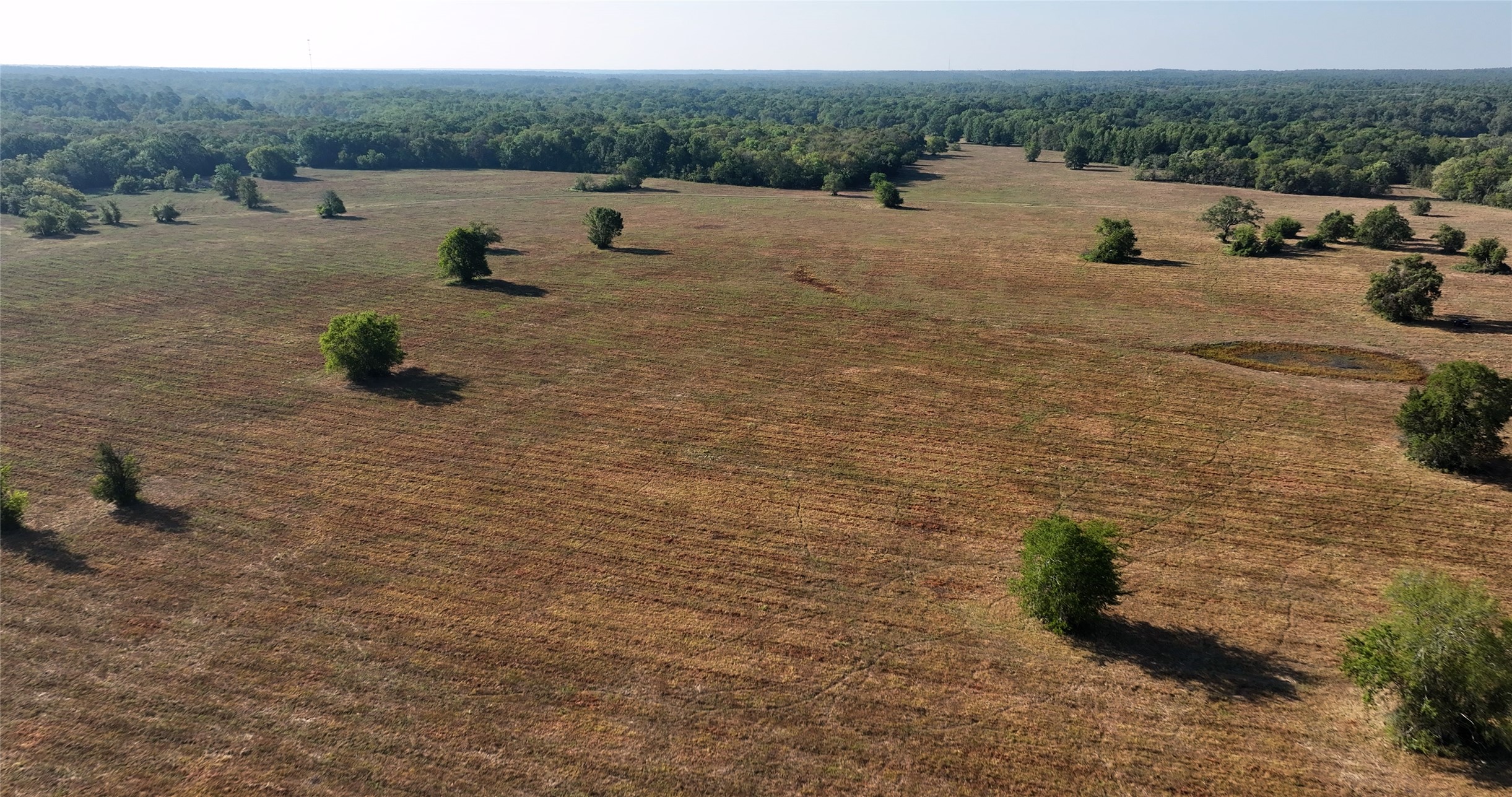 0000 Tbd Jackson Rd Property Photo 19