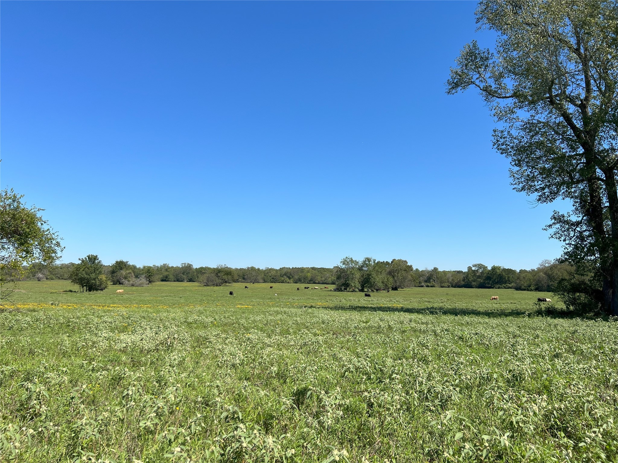 0000 Tbd Jackson Rd Property Photo 25