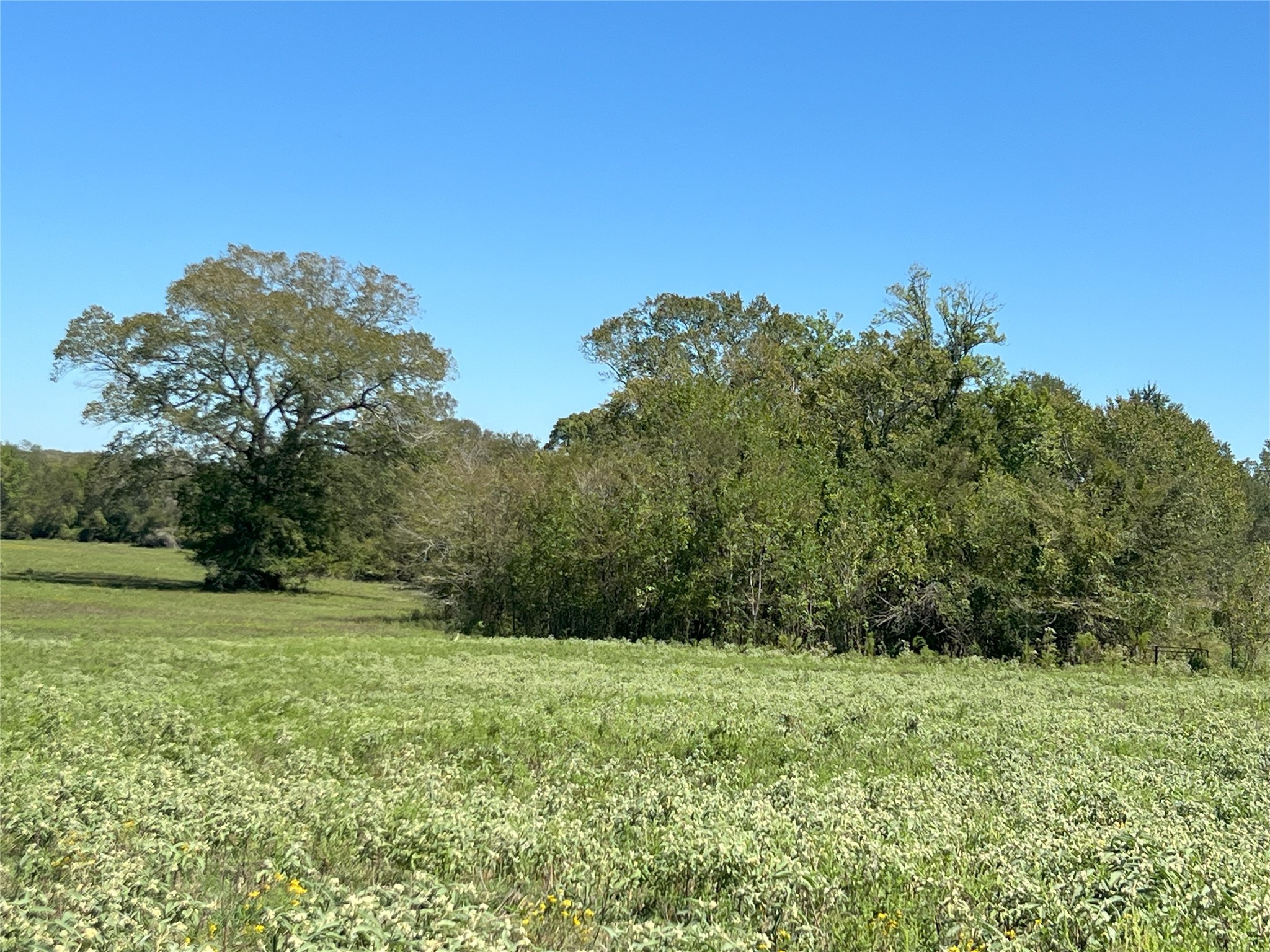 0000 Tbd Jackson Rd Property Photo 27