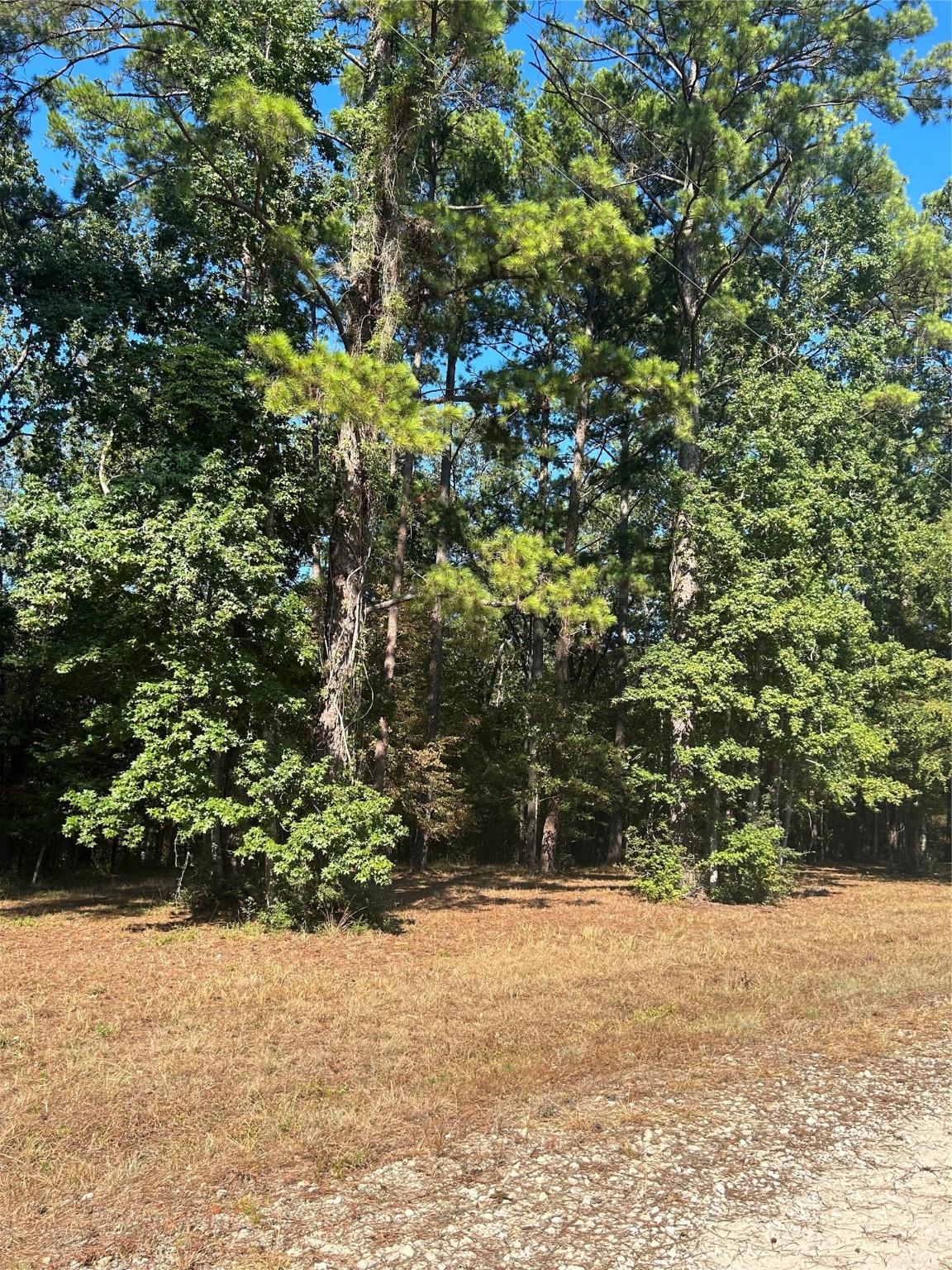 575859 Grand Pine Circle Property Photo 1