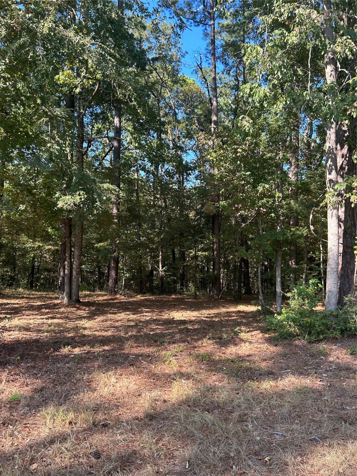 575859 Grand Pine Circle Property Photo 3