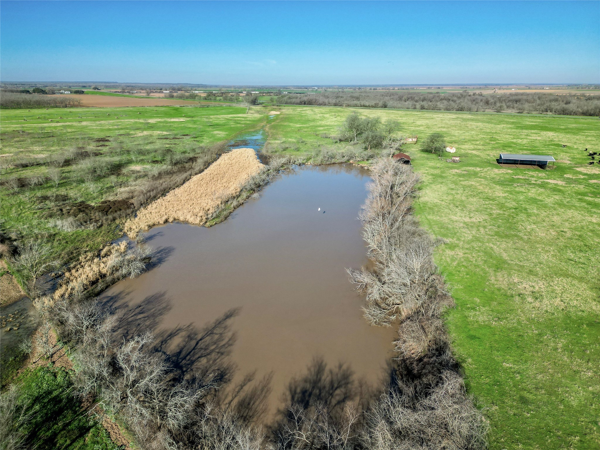 000 Highway 79 Property Photo 13