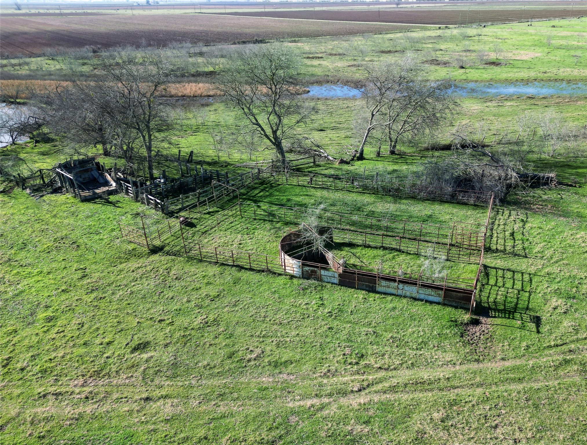 000 Highway 79 Property Photo 14