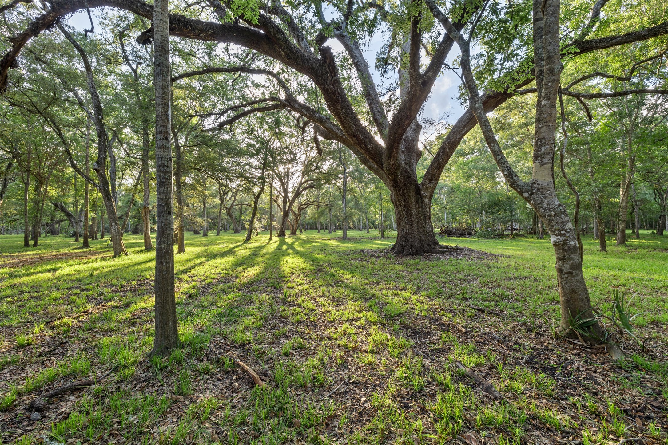 0 Fm 521 Road Property Photo 3