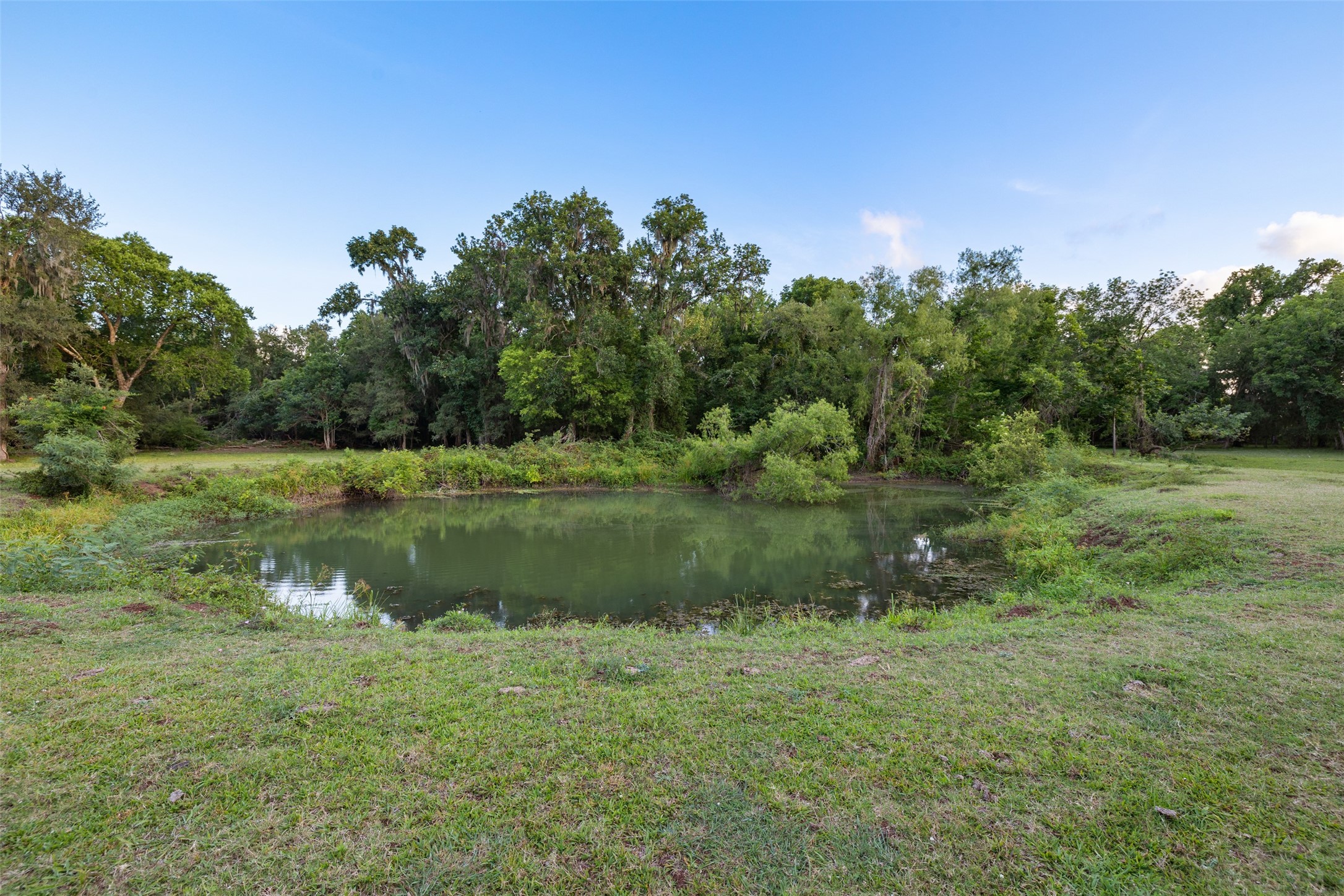 0 Fm 521 Road Property Photo 6