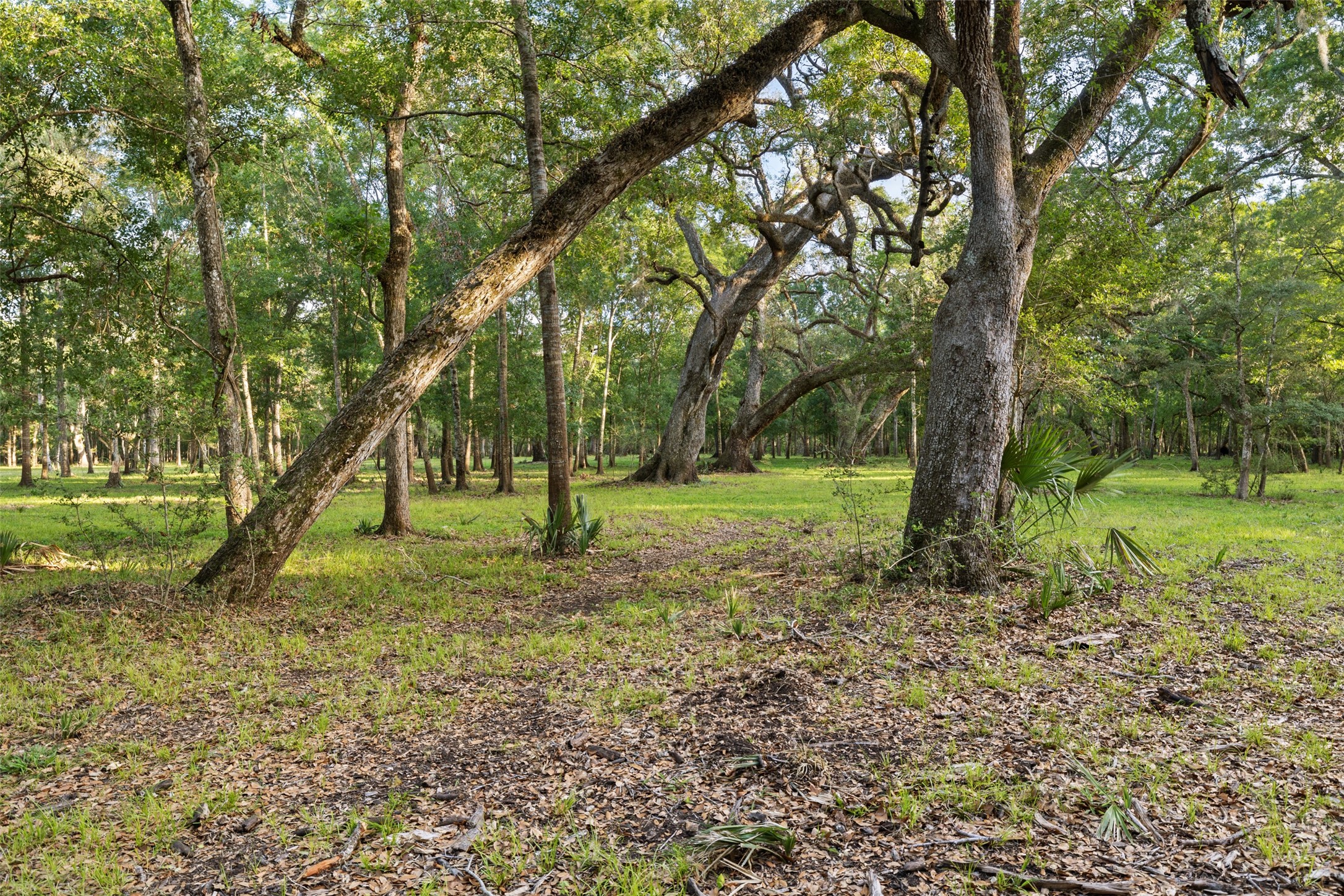 0 Fm 521 Road Property Photo 7