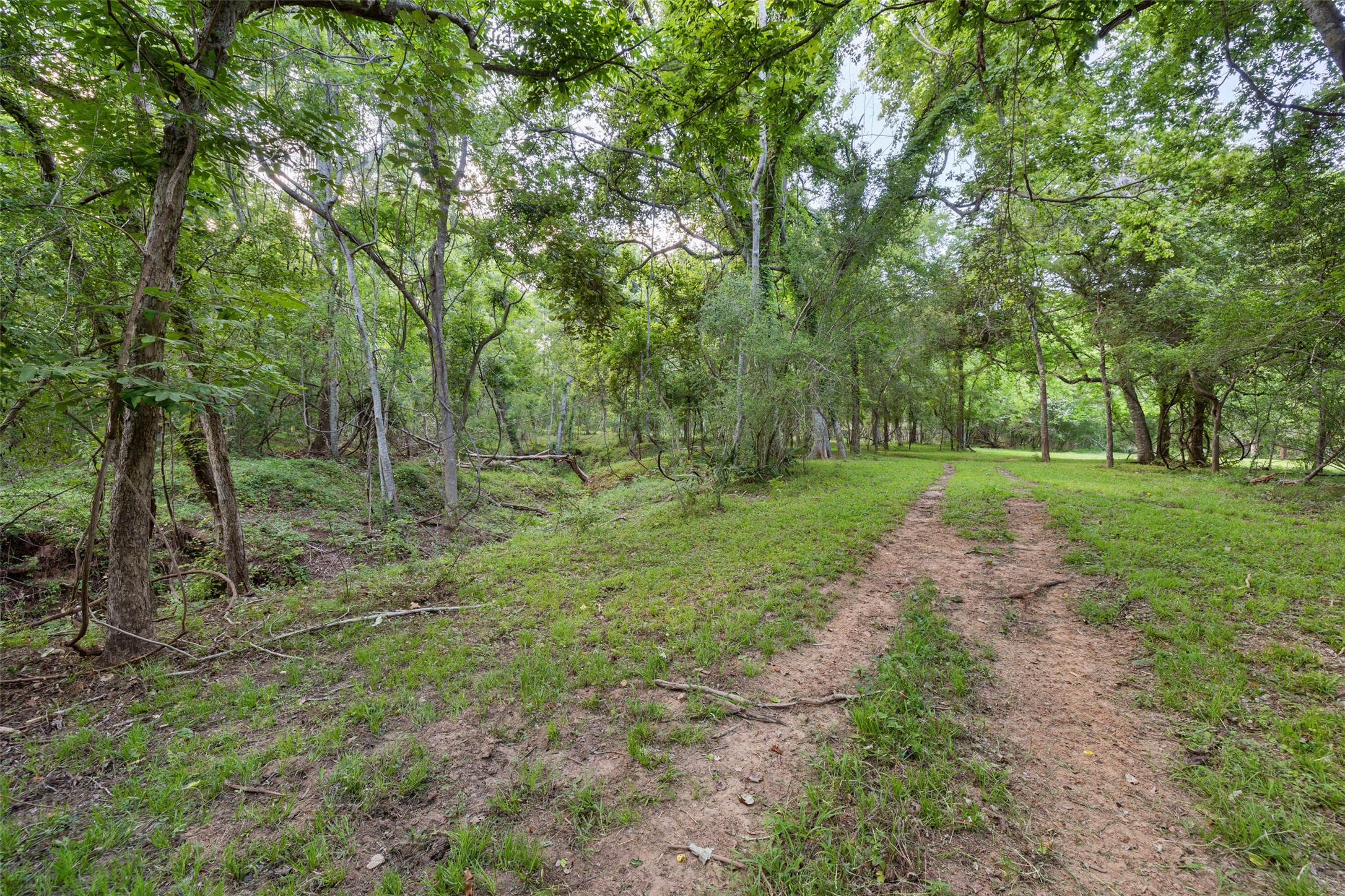 0 Fm 521 Road Property Photo 9