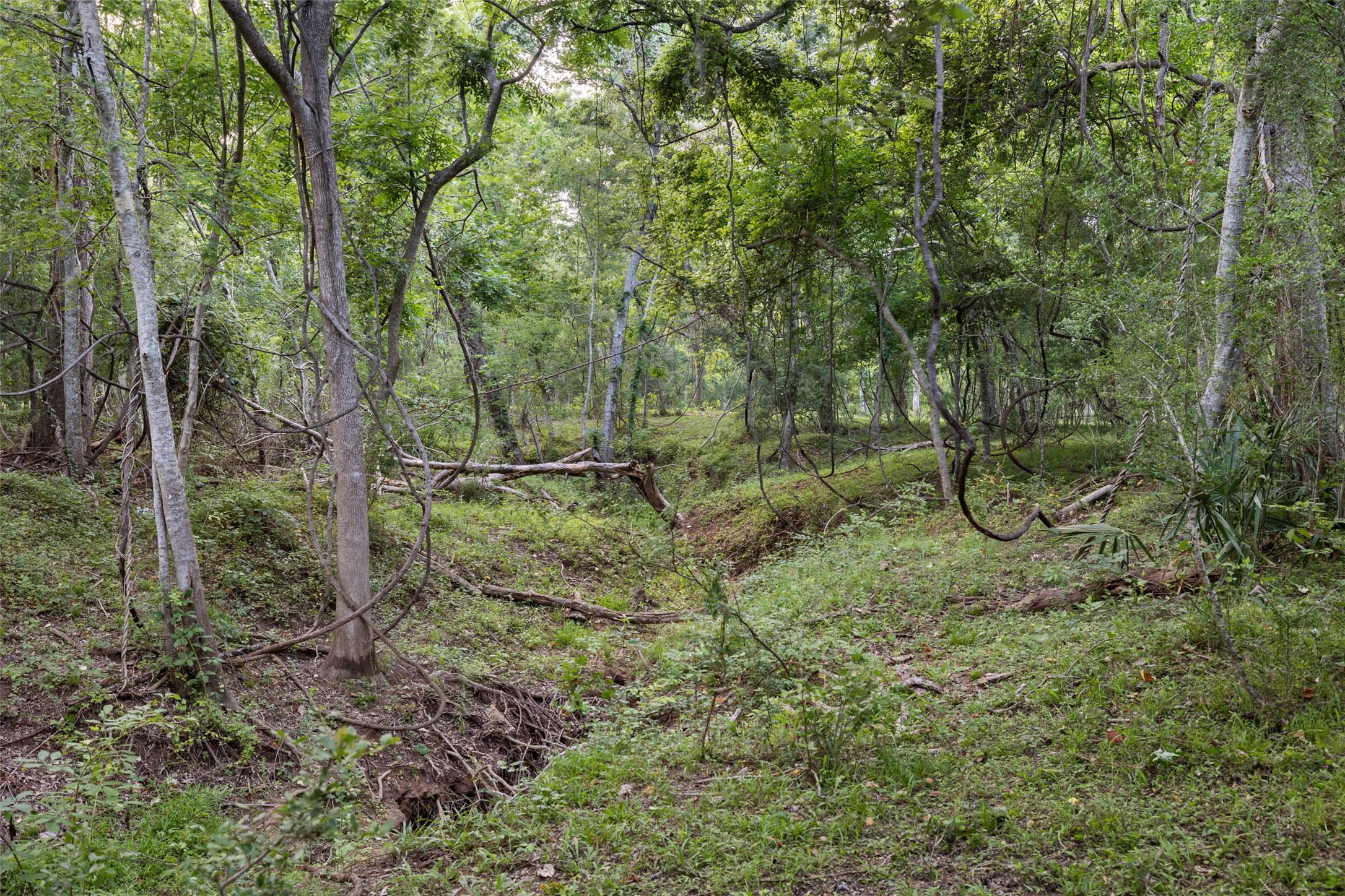 0 Fm 521 Road Property Photo 10
