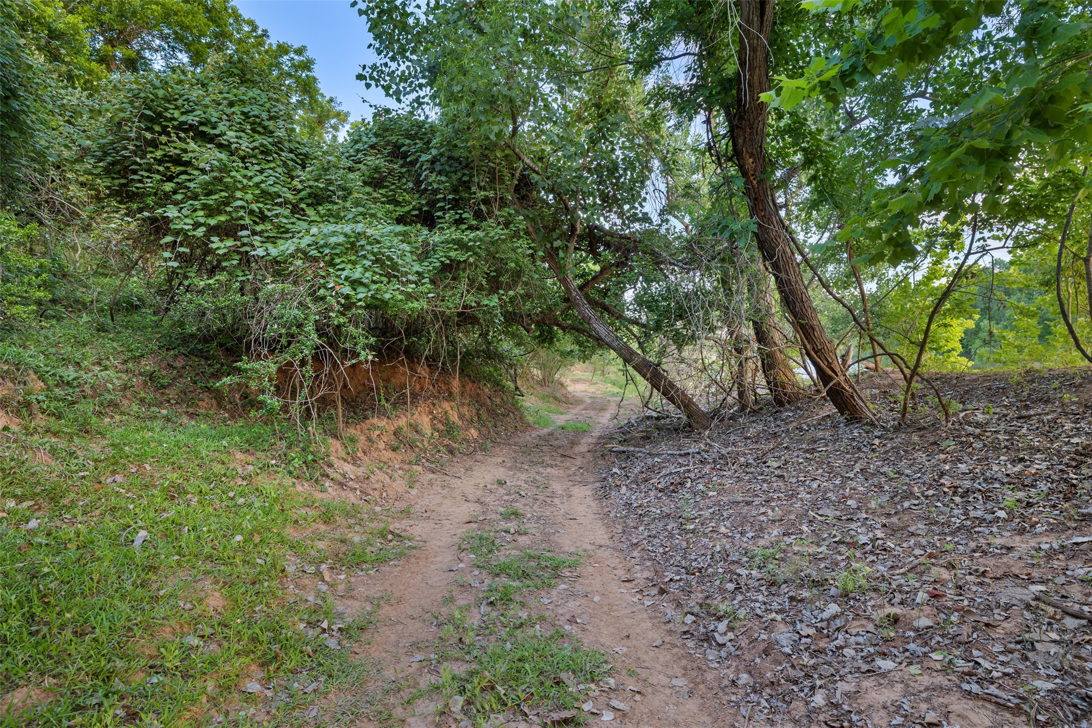 0 Fm 521 Road Property Photo 11