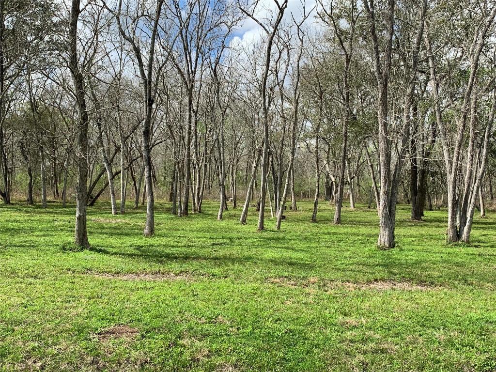 33634 Blue Marlin Drive Property Photo 8