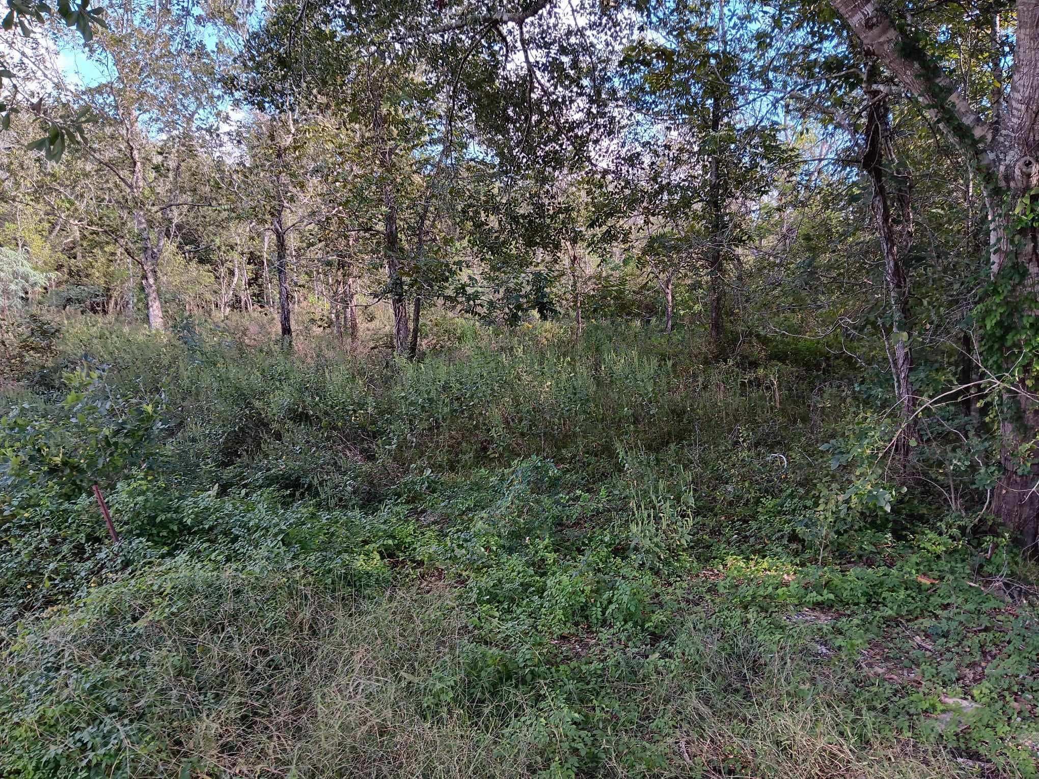 0 Oak Colony Drive Property Photo 2