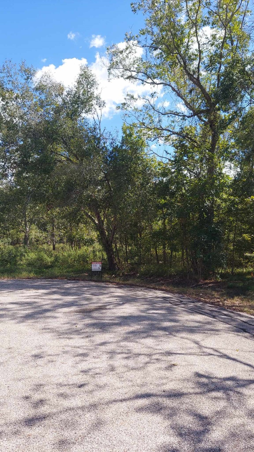 0 Oak Colony Drive Property Photo 4