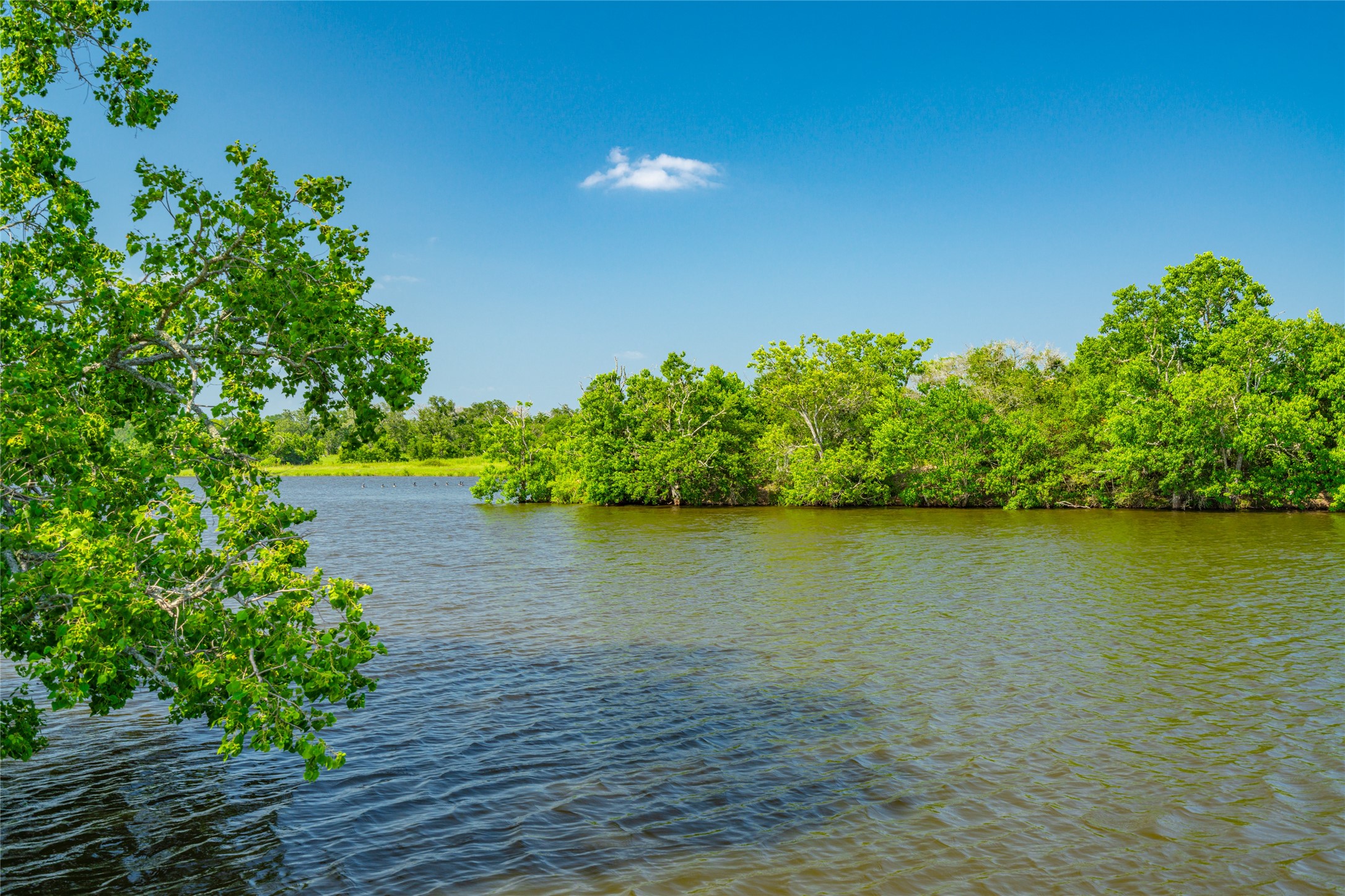 26720 Waller Gladish Road Property Photo 1