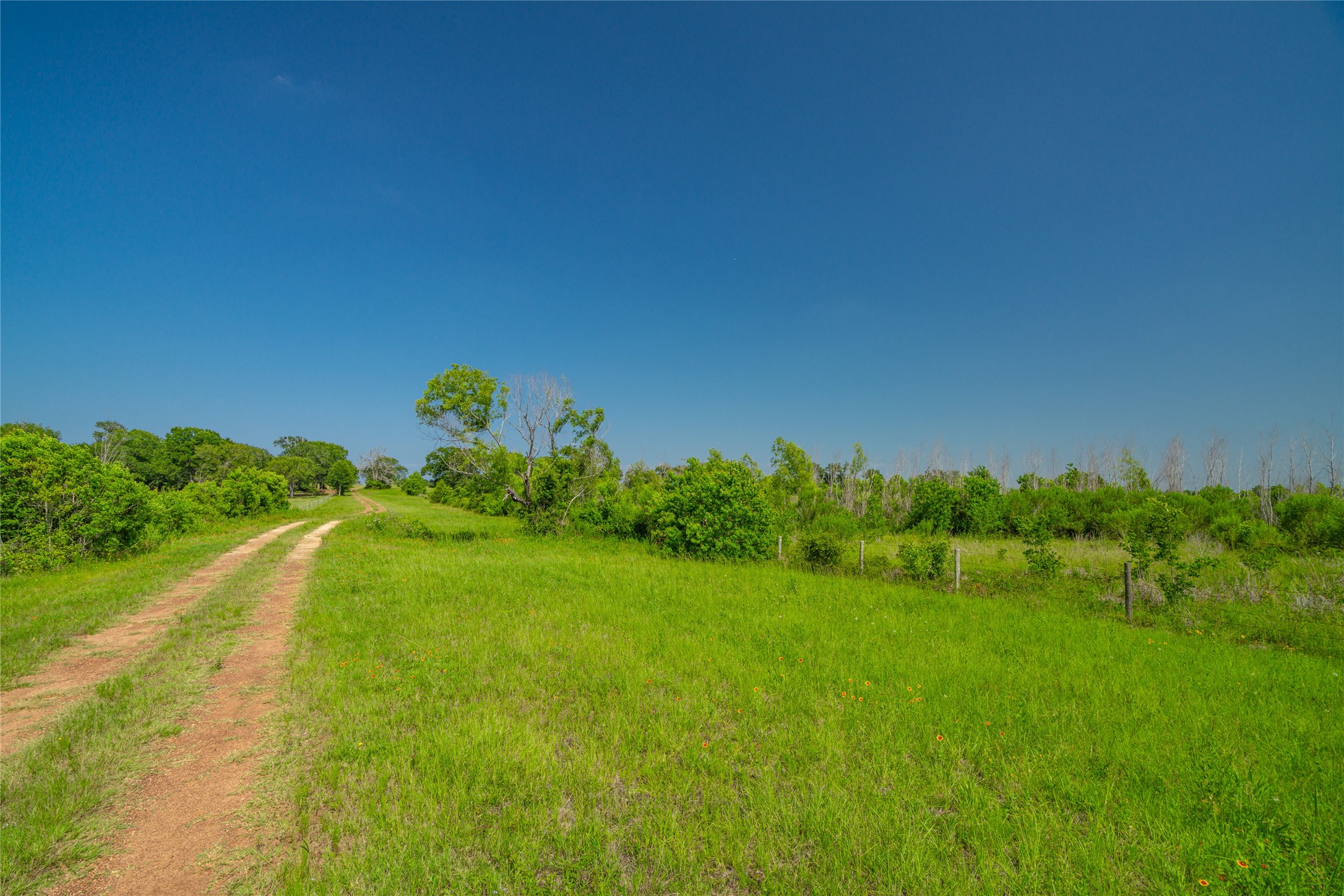 26720 Waller Gladish Road Property Photo 2