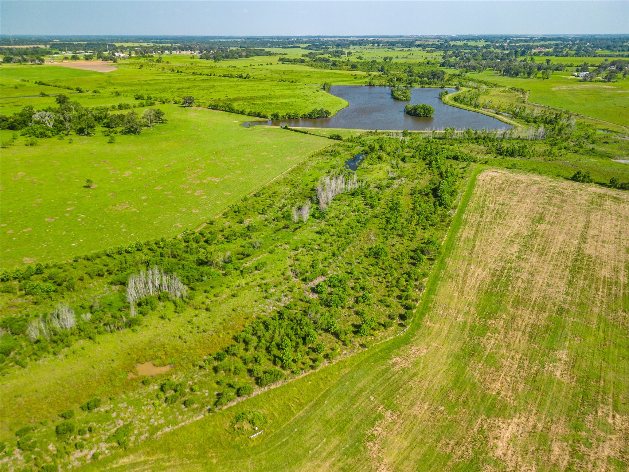 26720 Waller Gladish Road Property Photo 4