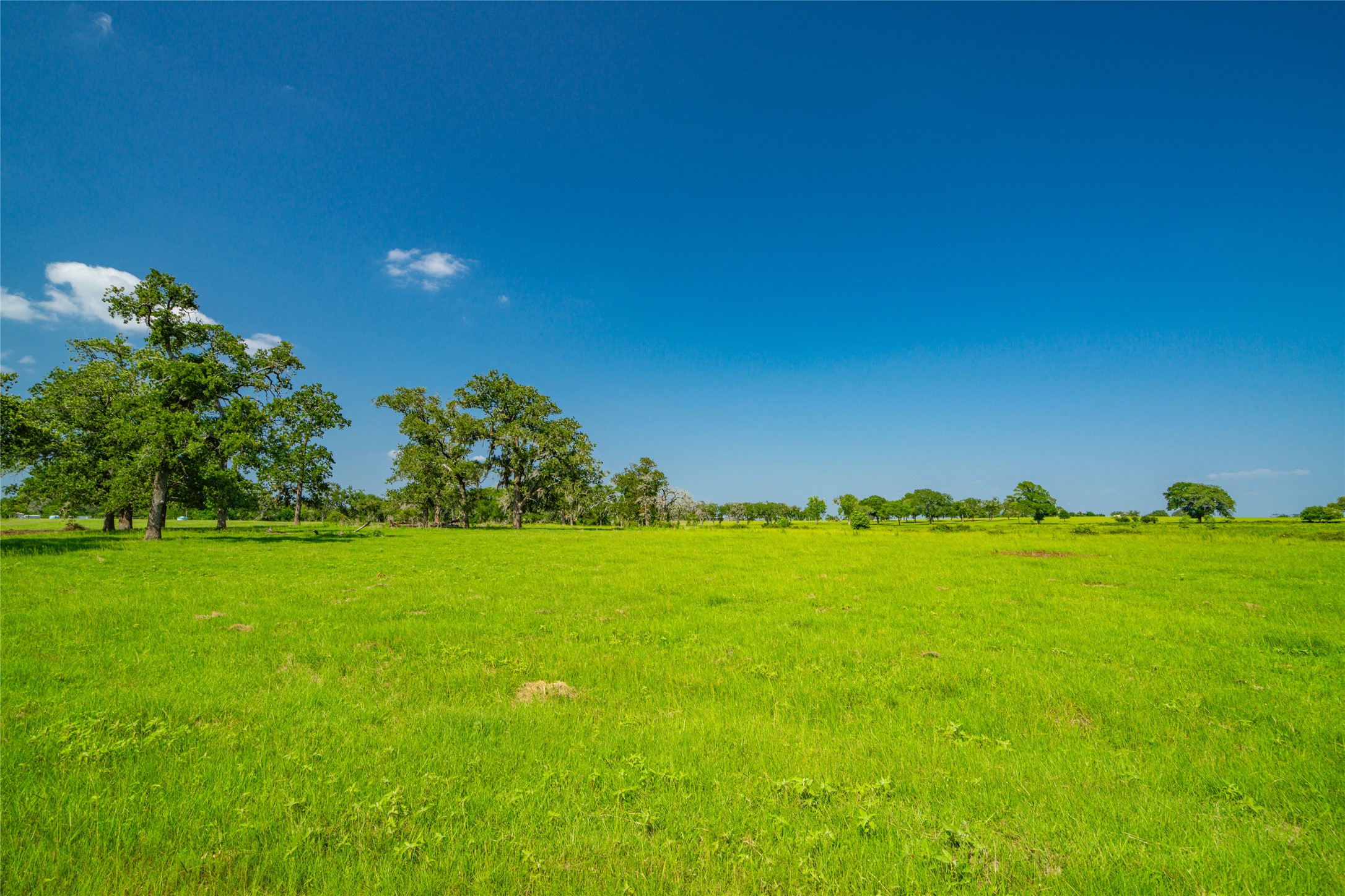 26720 Waller Gladish Road Property Photo 6