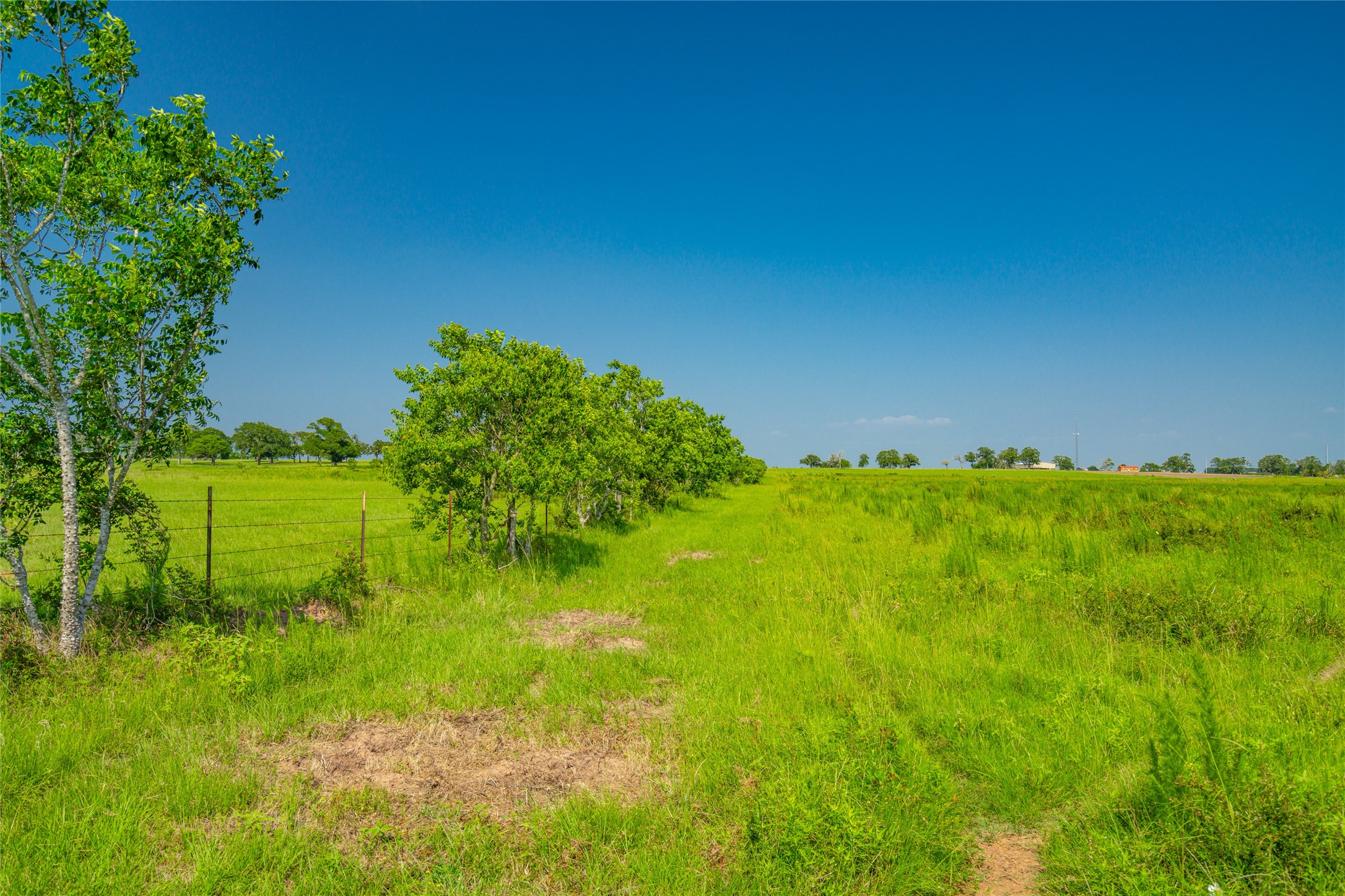 26720 Waller Gladish Road Property Photo 10