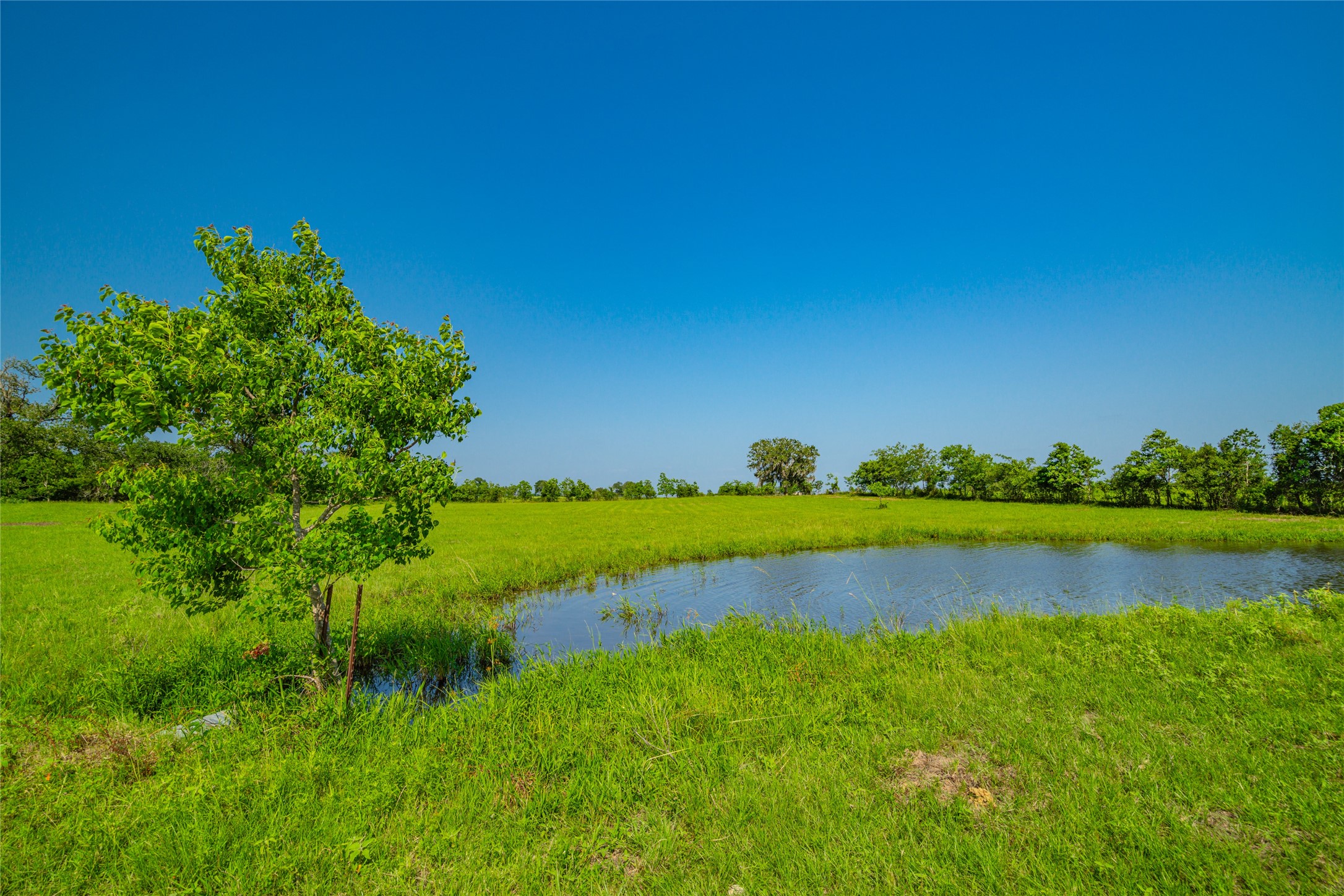 26720 Waller Gladish Road Property Photo 17