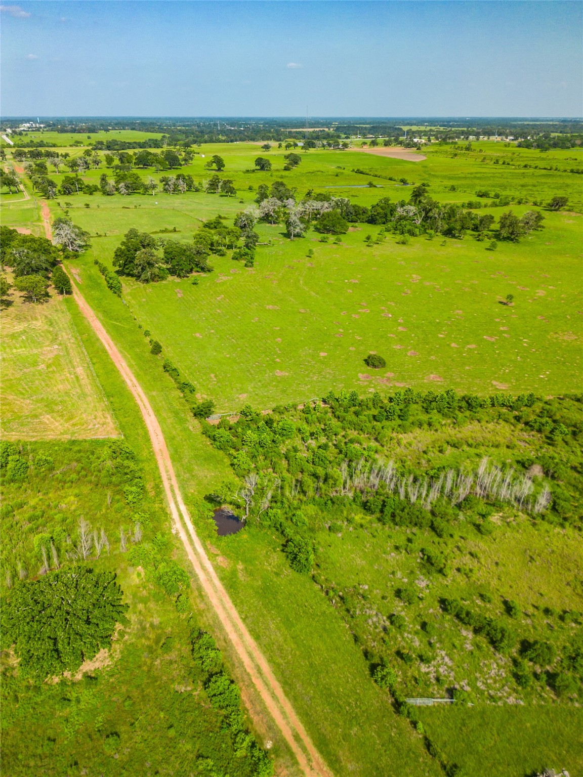 26720 Waller Gladish Road Property Photo 31