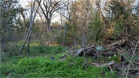 0000 Danover Street Property Photo 5