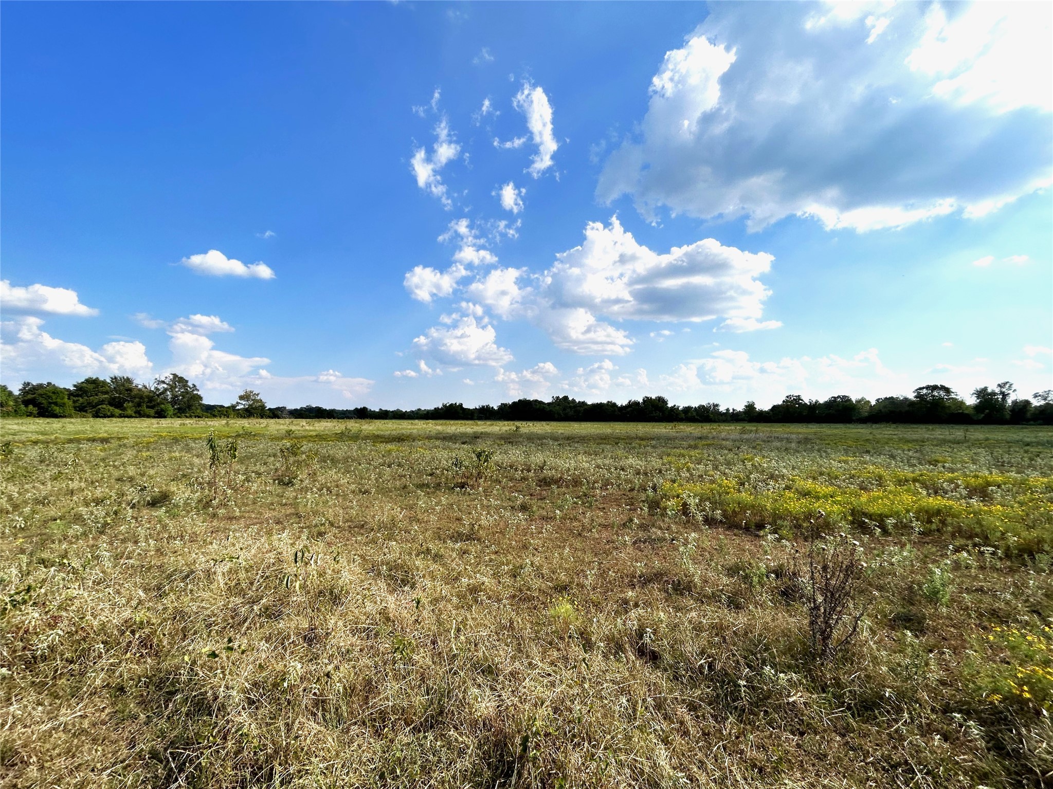 1103 County Road 420 Property Photo