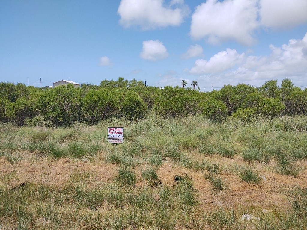 47 Fm 457 Sargent Highway Property Photo 4