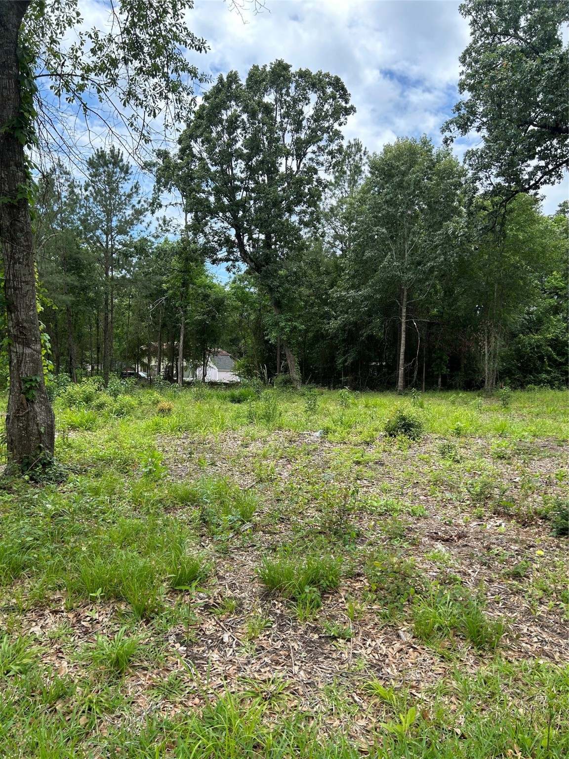 12 Timberglen Property Photo 3