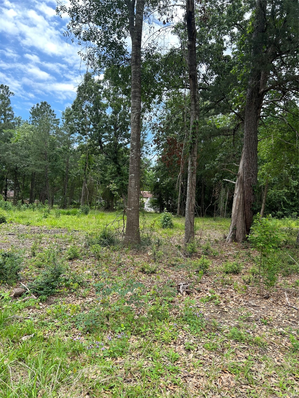 12 Timberglen Property Photo 4