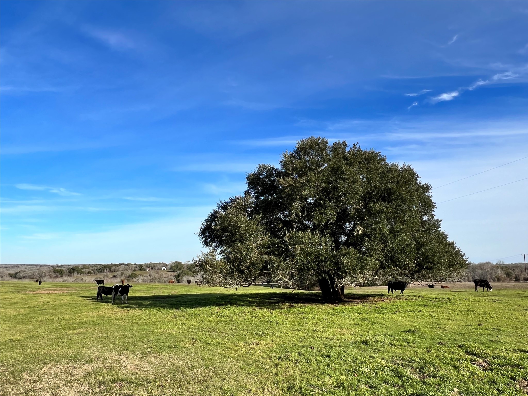 Tbd Oil Field Road Property Photo 1