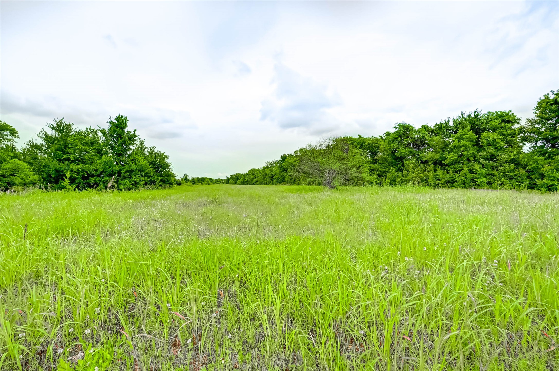 000 I-10/peach Ridge Road Property Photo 12