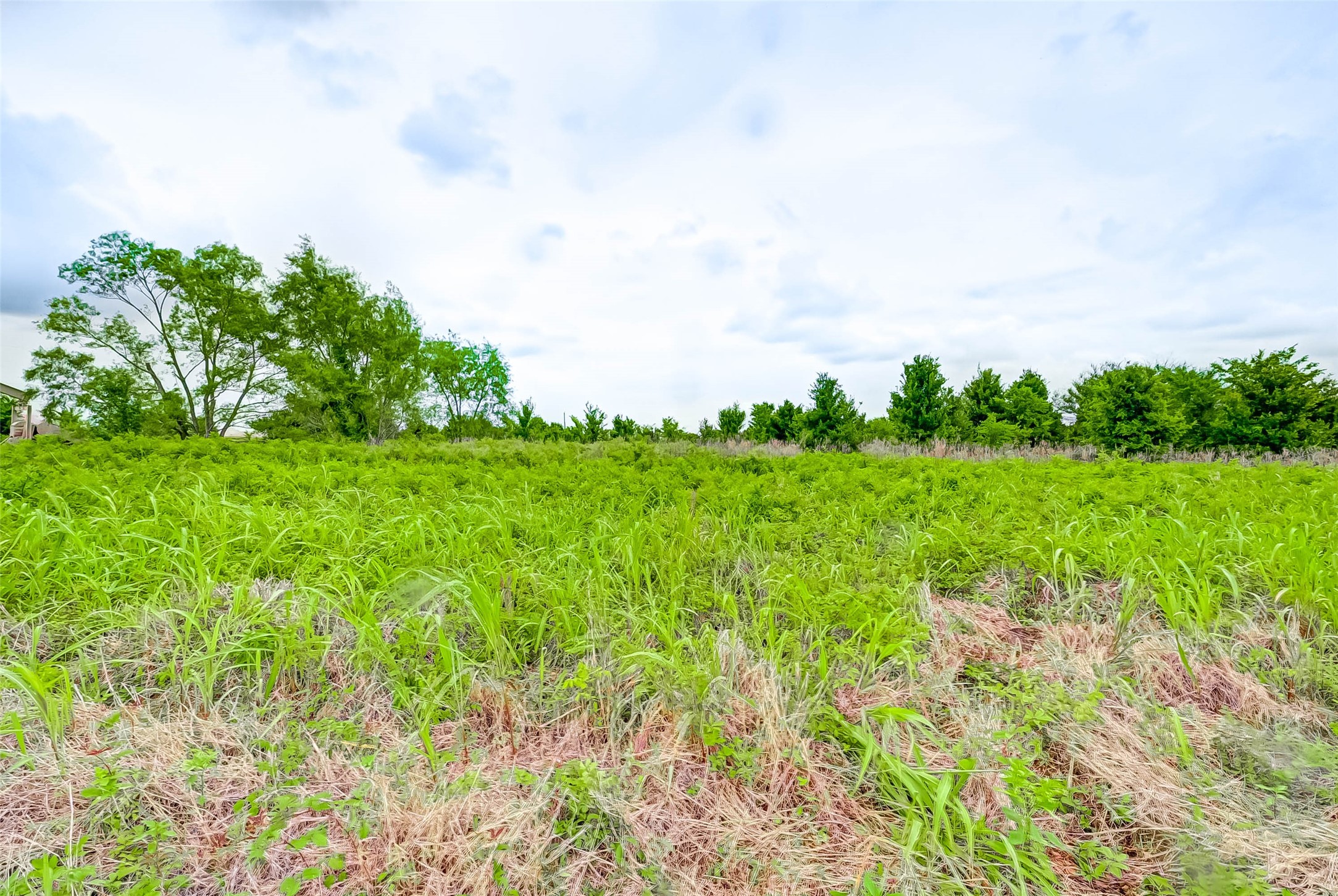 000 I-10/peach Ridge Road Property Photo 16