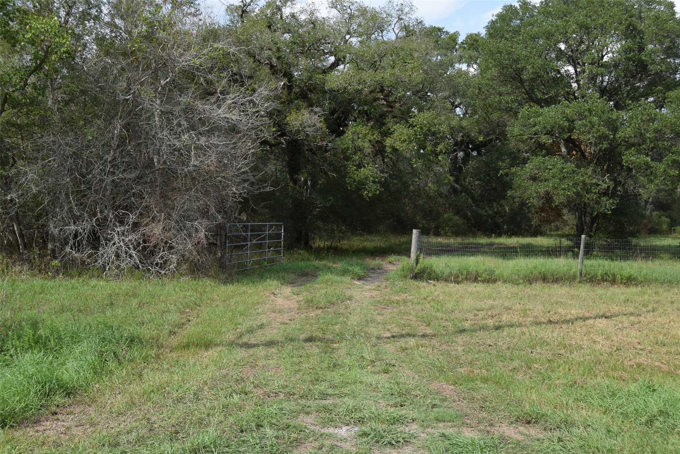 0 Lake View Road Property Photo 2