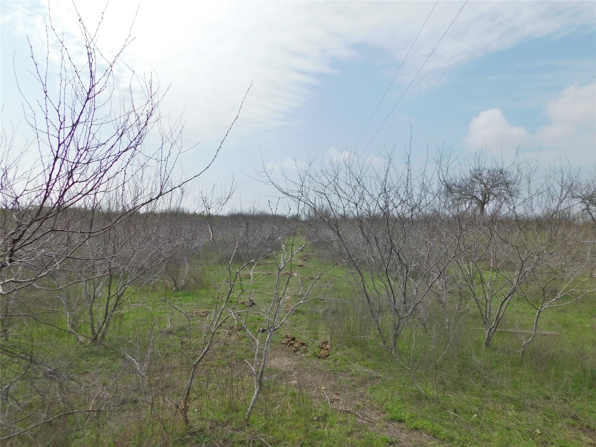 3560 County Road 305 Property Photo 7