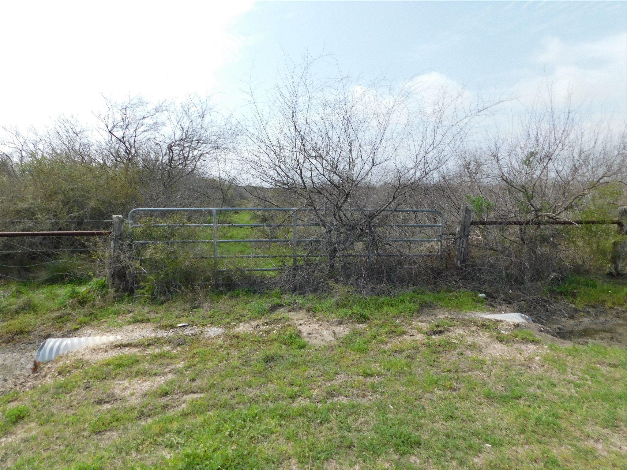 3560 County Road 305 Property Photo 10