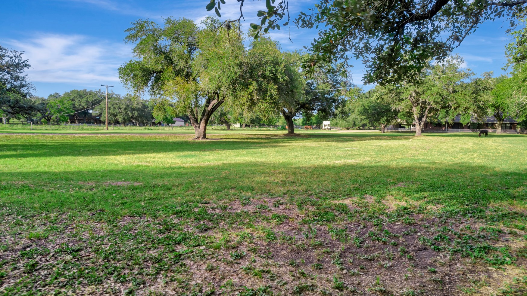 371 Old Gonzales Road Property Photo 6