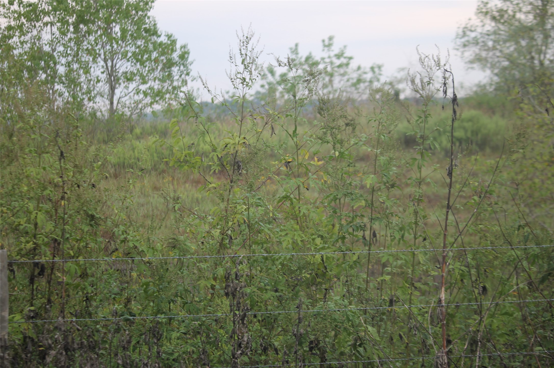 0 Todd Property Photo 1