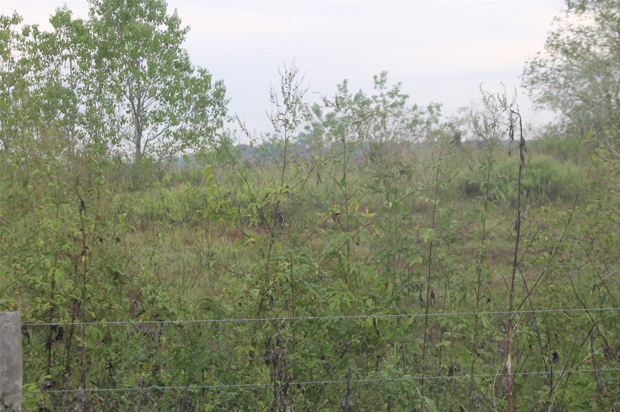 0 Todd Property Photo 2