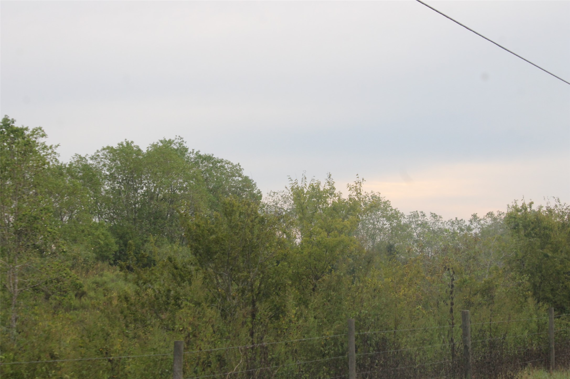 0 Todd Property Photo 3