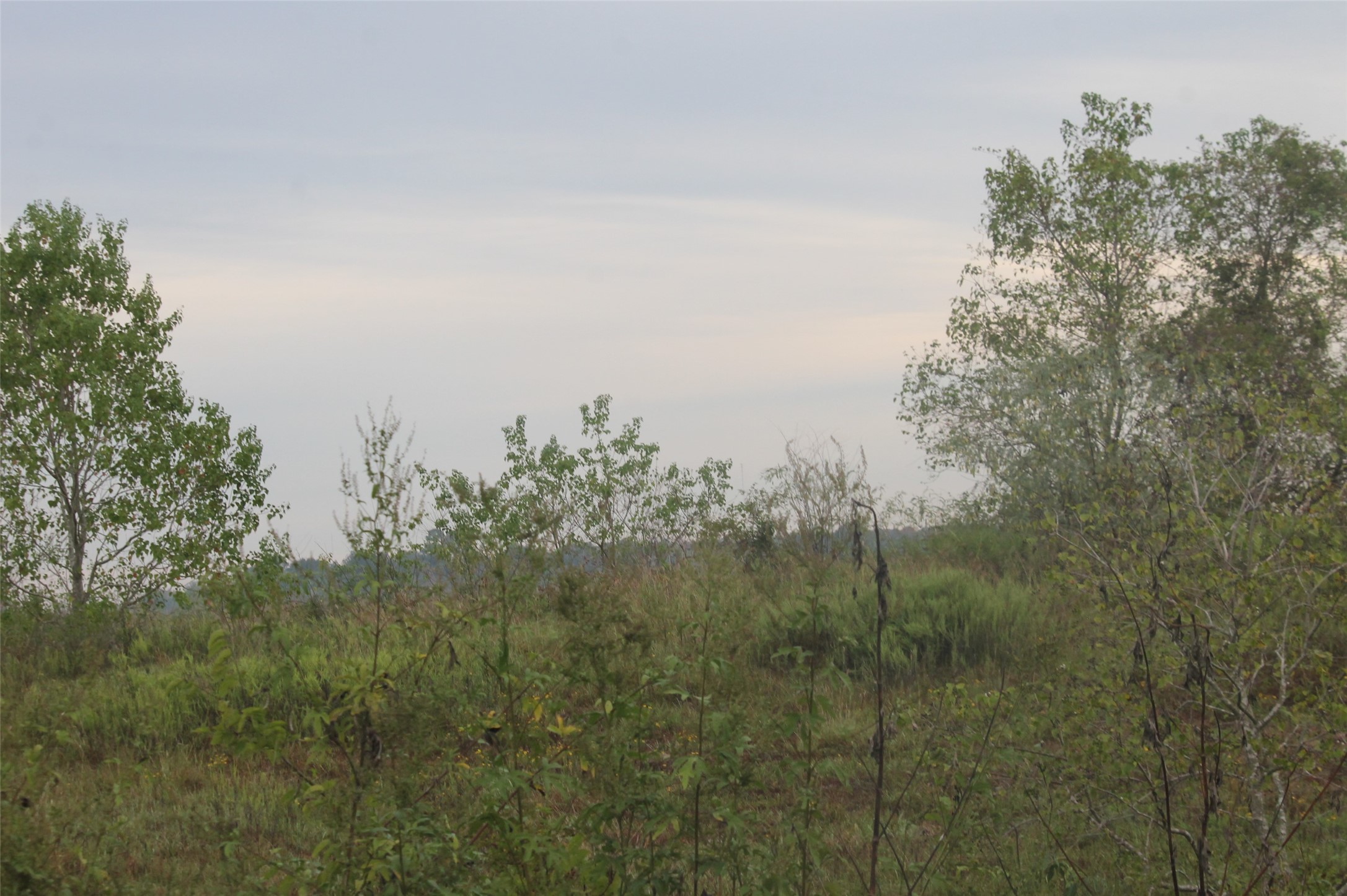 0 Todd Property Photo 4