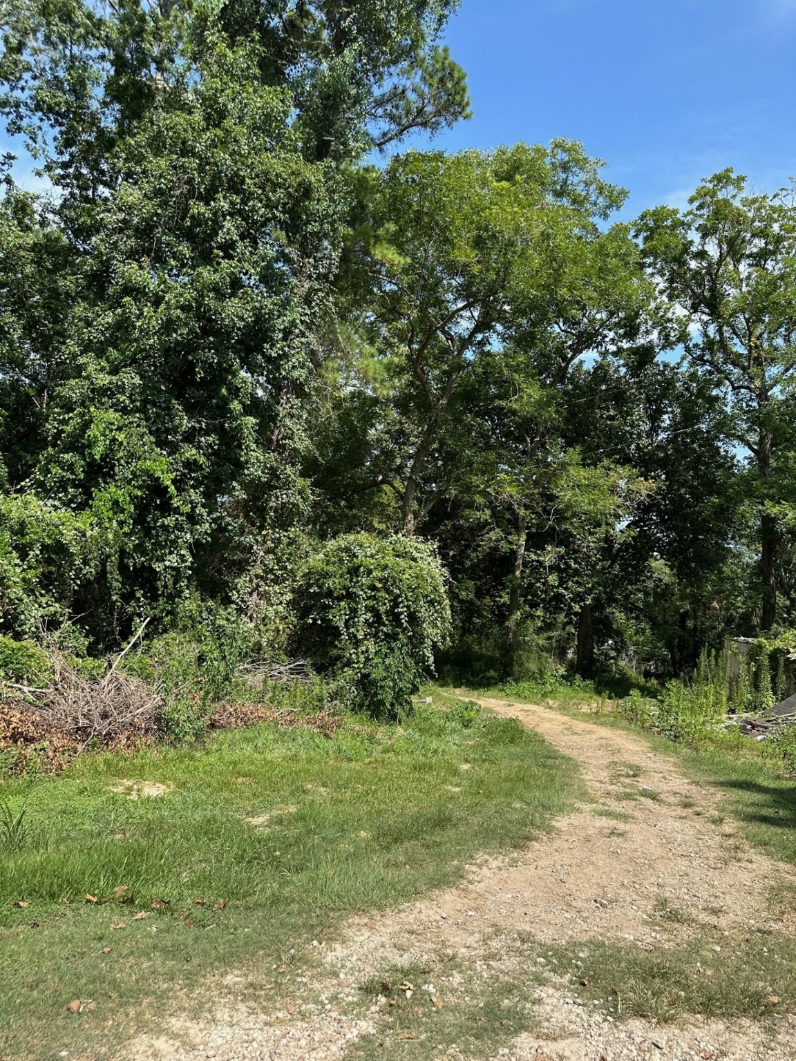 95 Rene Or Cr 443 Street Property Photo