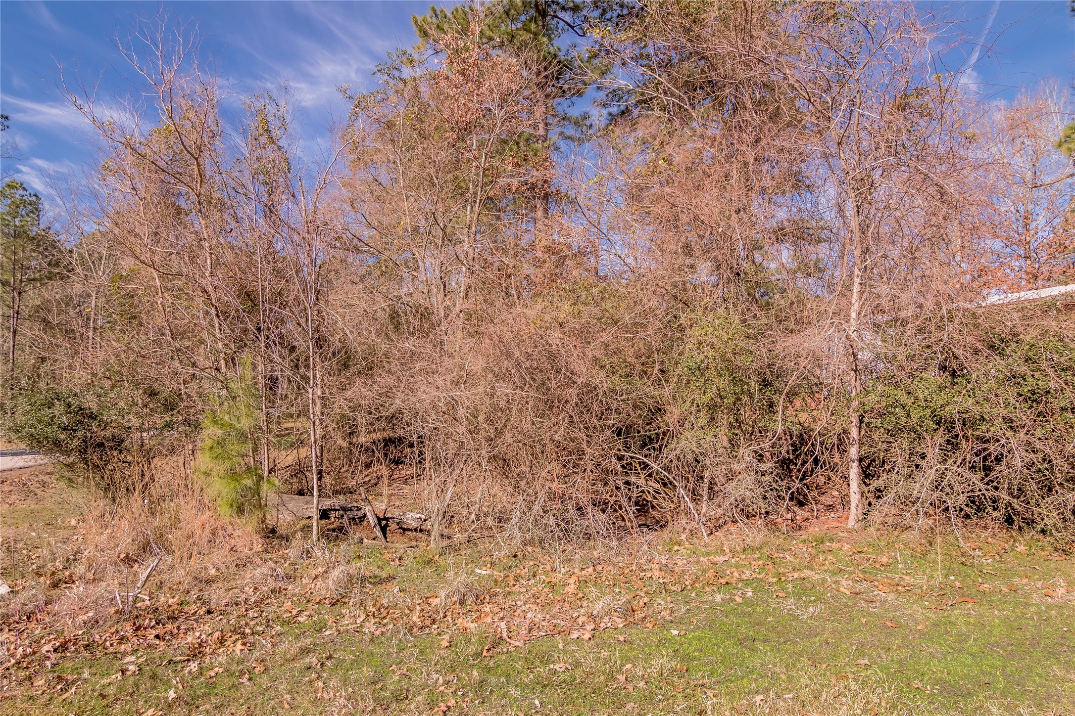 Lot 27 Dogwood Drive Property Photo 7