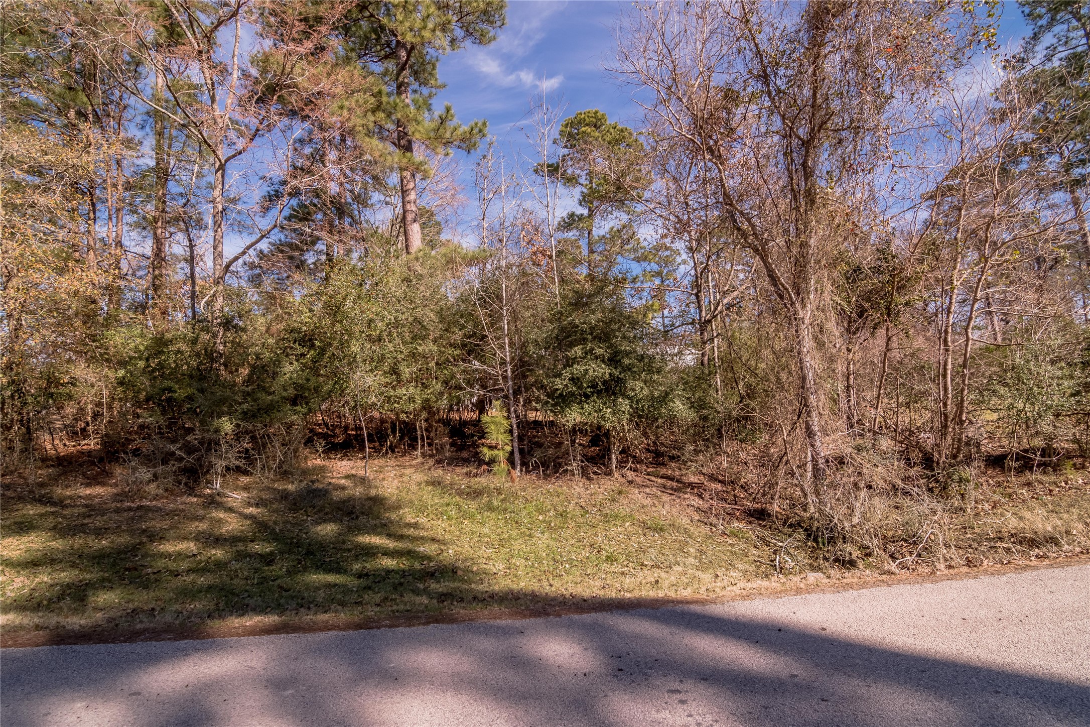 Lot 27 Dogwood Drive Property Photo 11