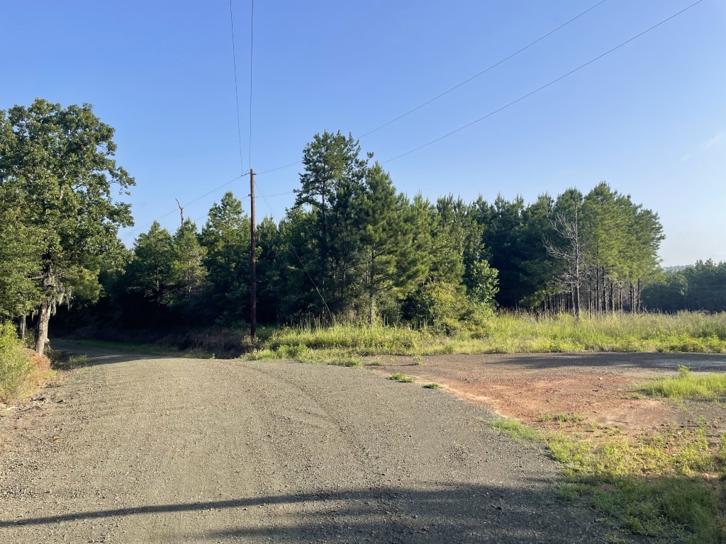 Tbd (lot 45) Cr 1060 Property Photo 4