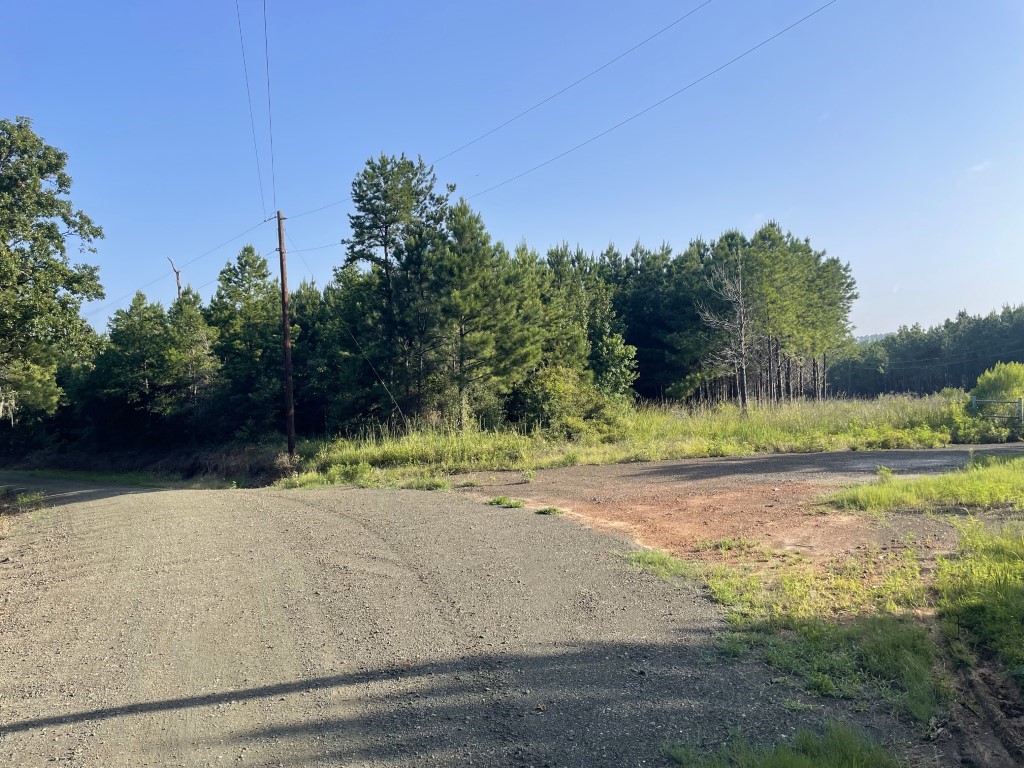 Tbd (lot 45) Cr 1060 Property Photo 5