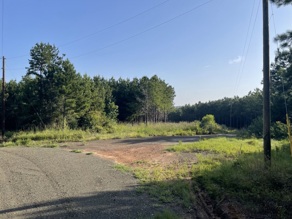 Tbd (lot 45) Cr 1060 Property Photo 6