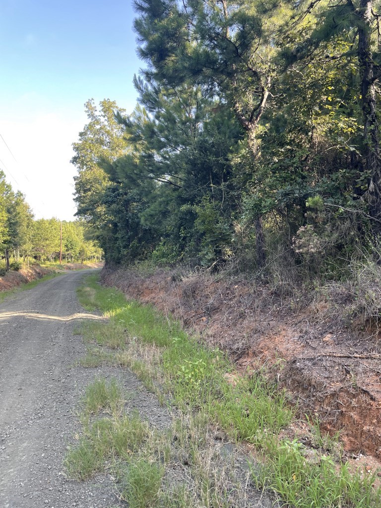 Tbd (lot 45) Cr 1060 Property Photo 10