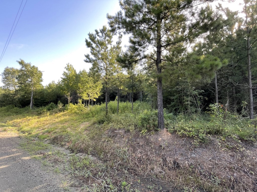 Tbd (lot 45) Cr 1060 Property Photo 11